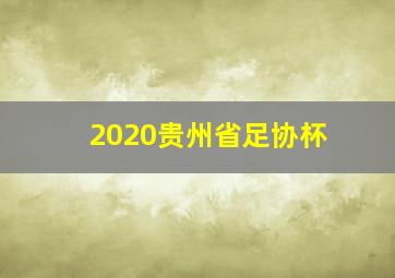 2020贵州省足协杯