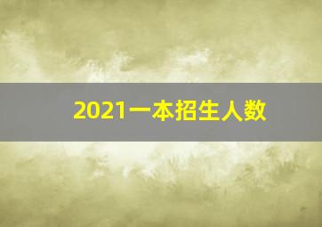 2021一本招生人数