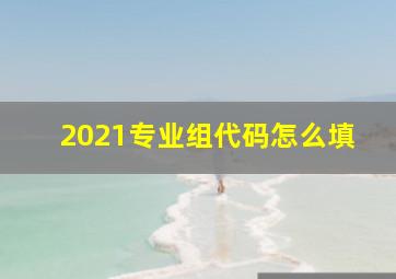 2021专业组代码怎么填