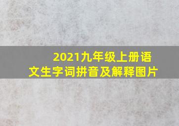 2021九年级上册语文生字词拼音及解释图片