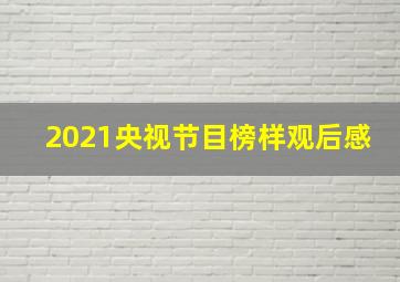 2021央视节目榜样观后感