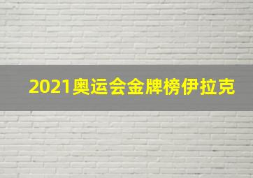 2021奥运会金牌榜伊拉克