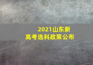 2021山东新高考选科政策公布