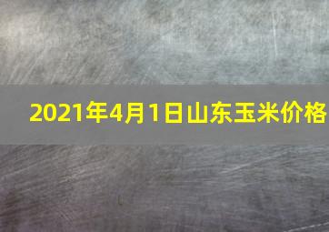 2021年4月1日山东玉米价格