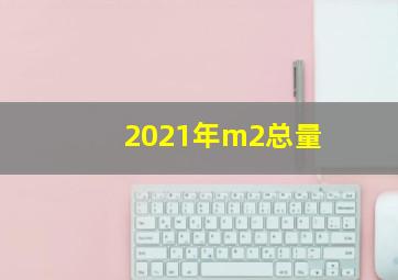 2021年m2总量