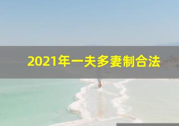 2021年一夫多妻制合法