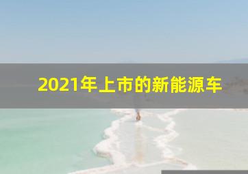 2021年上市的新能源车