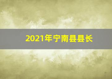 2021年宁南县县长