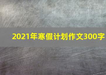 2021年寒假计划作文300字