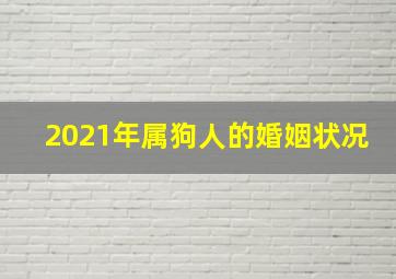 2021年属狗人的婚姻状况