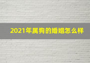 2021年属狗的婚姻怎么样