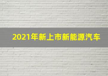 2021年新上市新能源汽车