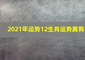 2021年运势12生肖运势属狗