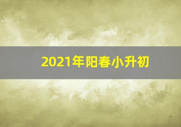 2021年阳春小升初