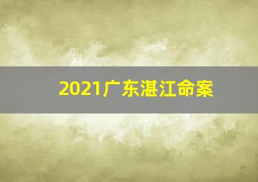 2021广东湛江命案