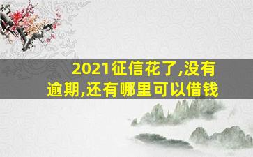 2021征信花了,没有逾期,还有哪里可以借钱