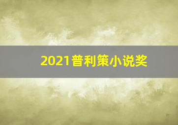 2021普利策小说奖