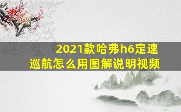 2021款哈弗h6定速巡航怎么用图解说明视频