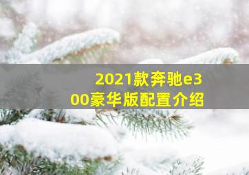 2021款奔驰e300豪华版配置介绍