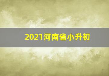 2021河南省小升初