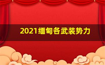 2021缅甸各武装势力