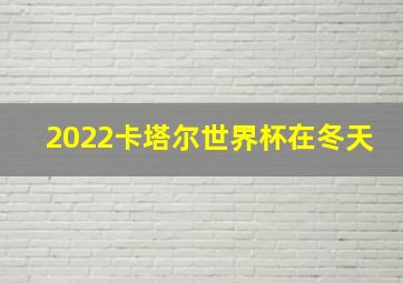 2022卡塔尔世界杯在冬天