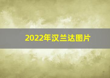 2022年汉兰达图片