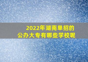 2022年湖南单招的公办大专有哪些学校呢