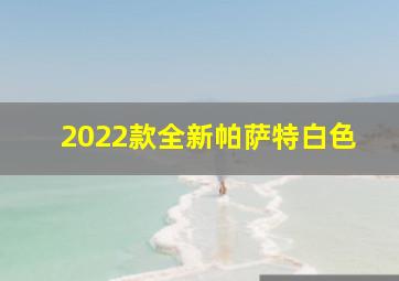 2022款全新帕萨特白色