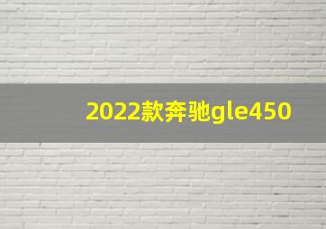 2022款奔驰gle450