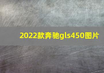 2022款奔驰gls450图片