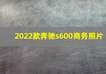 2022款奔驰s600商务照片