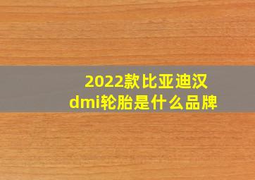 2022款比亚迪汉dmi轮胎是什么品牌