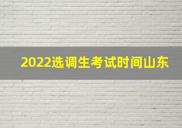 2022选调生考试时间山东