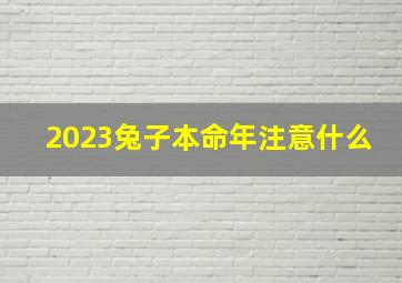 2023兔子本命年注意什么