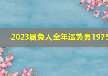 2023属兔人全年运势男1975