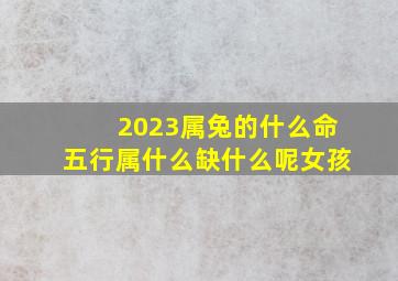 2023属兔的什么命五行属什么缺什么呢女孩