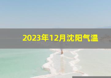 2023年12月沈阳气温