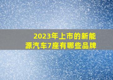 2023年上市的新能源汽车7座有哪些品牌