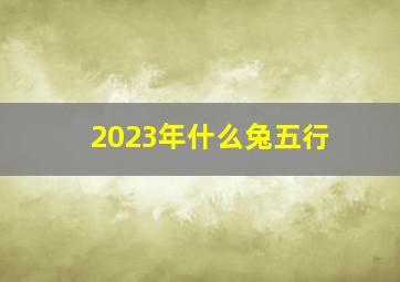 2023年什么兔五行