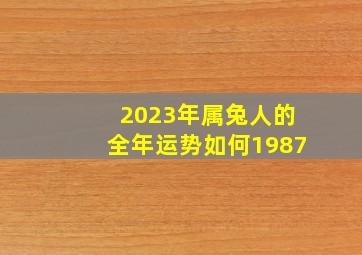 2023年属兔人的全年运势如何1987