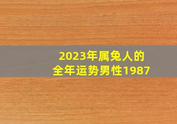 2023年属兔人的全年运势男性1987