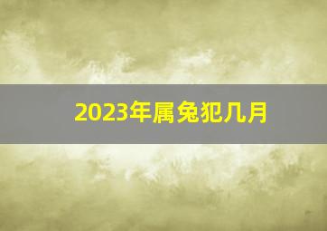 2023年属兔犯几月