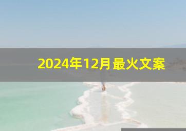 2024年12月最火文案