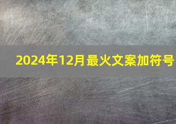 2024年12月最火文案加符号