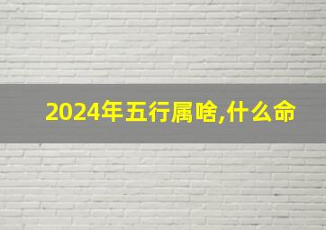 2024年五行属啥,什么命