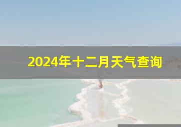 2024年十二月天气查询