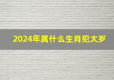 2024年属什么生肖犯太岁