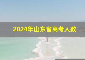 2024年山东省高考人数