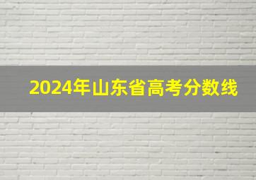 2024年山东省高考分数线